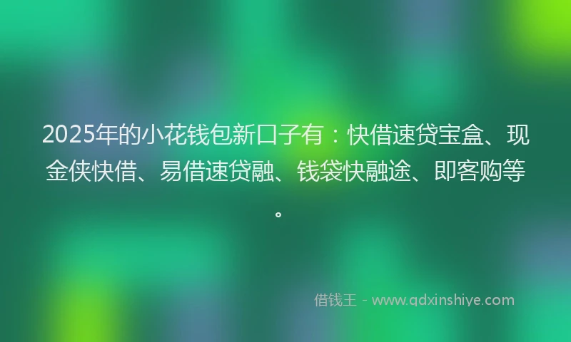2025年的小花钱包新口子有：快借速贷宝盒、现金侠快借、易借速贷融、钱袋快融途、即客购等。