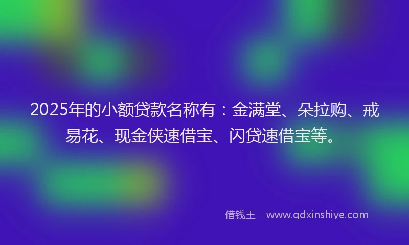 2025年的小额贷款名称有：金满堂、朵拉购、戒易花、现金侠速借宝、闪贷速借宝等。