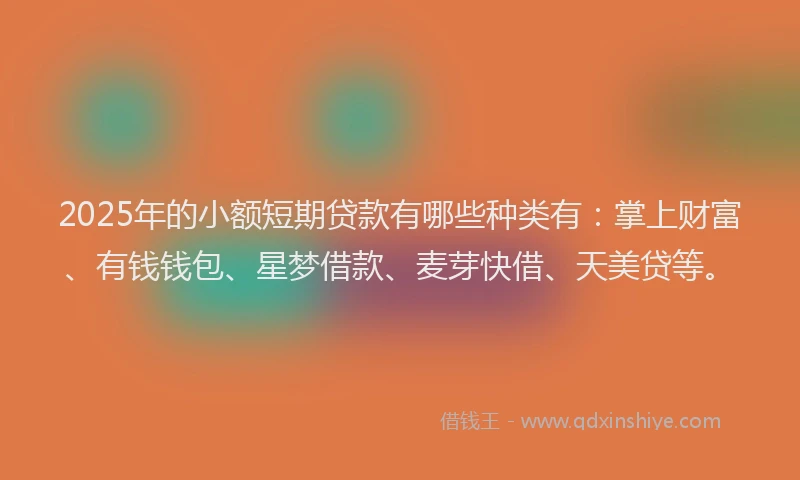 2025年的小额短期贷款有哪些种类有：掌上财富、有钱钱包、星梦借款、麦芽快借、天美贷等。