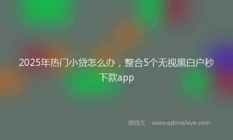 2025年热门小贷怎么办，整合5个无视黑白户秒下款app