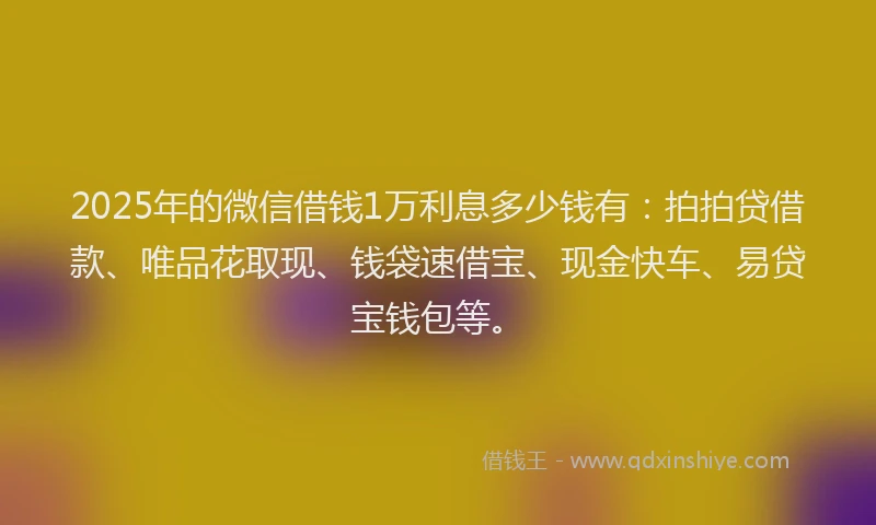 2025年的微信借钱1万利息多少钱有：拍拍贷借款、唯品花取现、钱袋速借宝、现金快车、易贷宝钱包等。