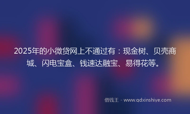 2025年的小微贷网上不通过有：现金树、贝壳商城、闪电宝盒、钱速达融宝、易得花等。