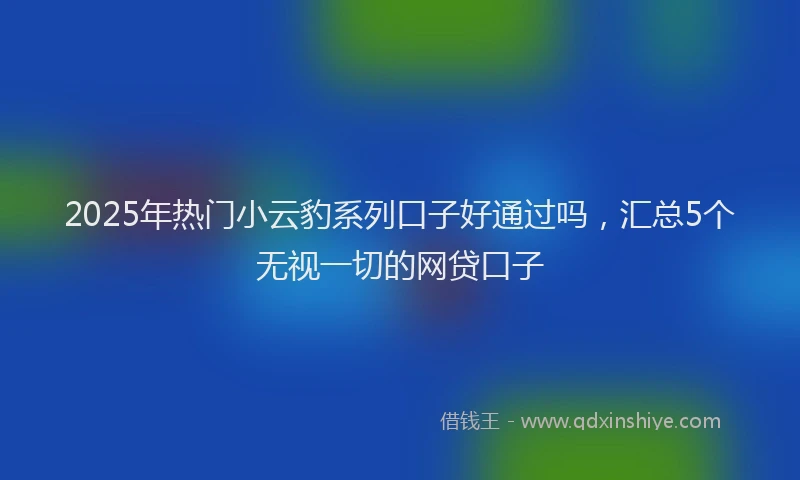 2025年热门小云豹系列口子好通过吗，汇总5个无视一切的网贷口子