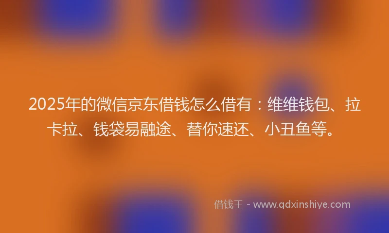 2025年的微信京东借钱怎么借有：维维钱包、拉卡拉、钱袋易融途、替你速还、小丑鱼等。