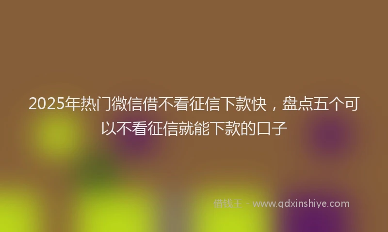 2025年热门微信借不看征信下款快，盘点五个可以不看征信就能下款的口子