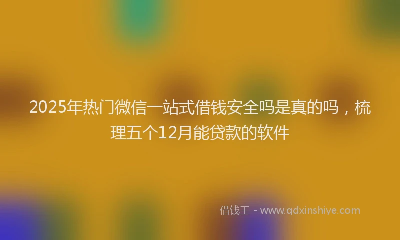 2025年热门微信一站式借钱安全吗是真的吗，梳理五个12月能贷款的软件