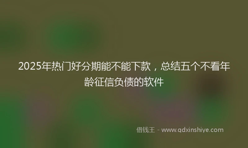 2025年热门好分期能不能下款，总结五个不看年龄征信负债的软件