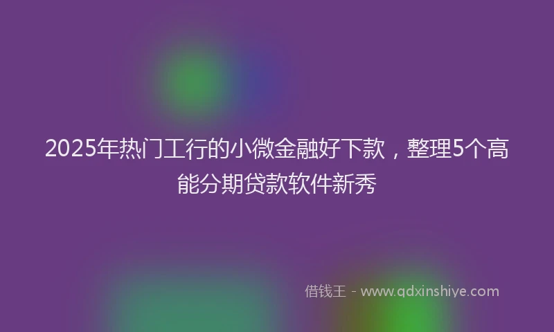 2025年热门工行的小微金融好下款，整理5个高能分期贷款软件新秀