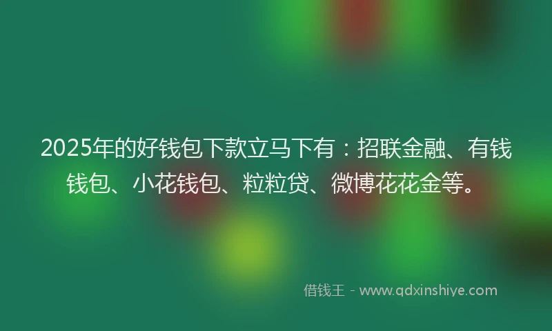 2025年的好钱包下款立马下有：招联金融、有钱钱包、小花钱包、粒粒贷、微博花花金等。