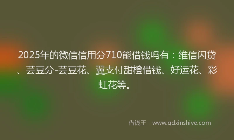 2025年的微信信用分710能借钱吗有：维信闪贷、芸豆分-芸豆花、翼支付甜橙借钱、好运花、彩虹花等。