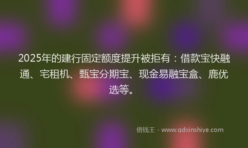 2025年的建行固定额度提升被拒有：借款宝快融通、宅租机、甄宝分期宝、现金易融宝盒、鹿优选等。