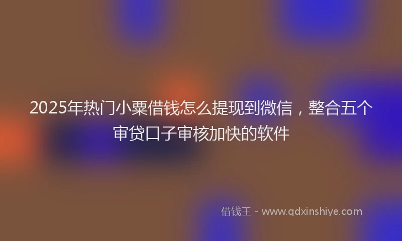2025年热门小粟借钱怎么提现到微信，整合五个审贷口子审核加快的软件