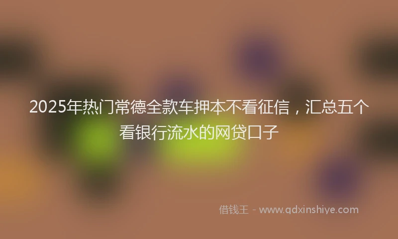 2025年热门常德全款车押本不看征信，汇总五个看银行流水的网贷口子