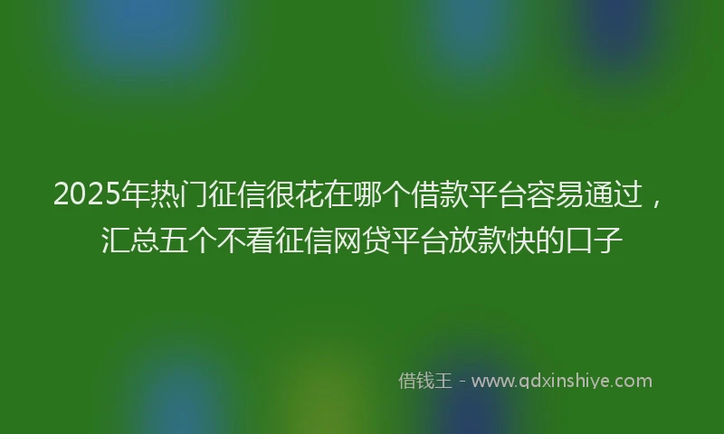 2025年热门征信很花在哪个借款平台容易通过，汇总五个不看征信网贷平台放款快的口子
