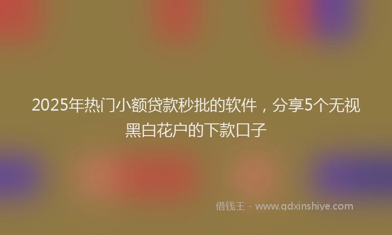 2025年热门小额贷款秒批的软件，分享5个无视黑白花户的下款口子
