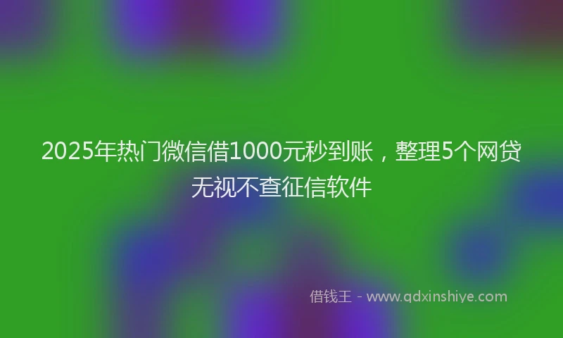 2025年热门微信借1000元秒到账，整理5个网贷无视不查征信软件