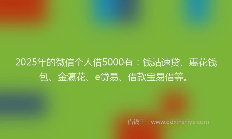 2025年的微信个人借5000有：钱站速贷、惠花钱包、金瀛花、e贷易、借款宝易借等。