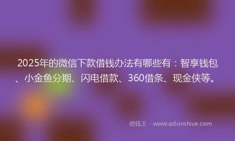 2025年的微信下款借钱办法有哪些有：智享钱包、小金鱼分期、闪电借款、360借条、现金侠等。