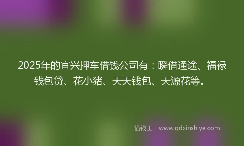 2025年的宜兴押车借钱公司有：瞬借通途、福禄钱包贷、花小猪、天天钱包、天源花等。