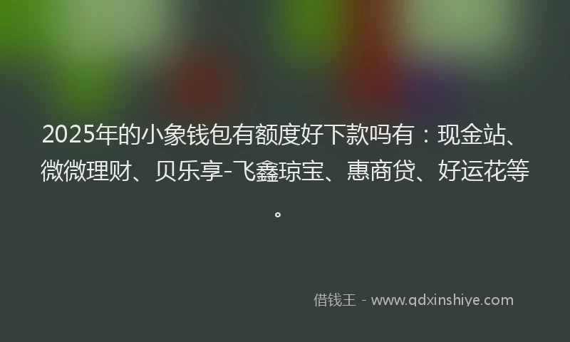 2025年的小象钱包有额度好下款吗有：现金站、微微理财、贝乐享-飞鑫琼宝、惠商贷、好运花等。