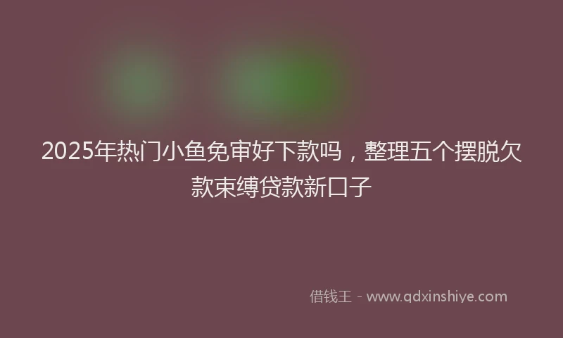 2025年热门小鱼免审好下款吗，整理五个摆脱欠款束缚贷款新口子