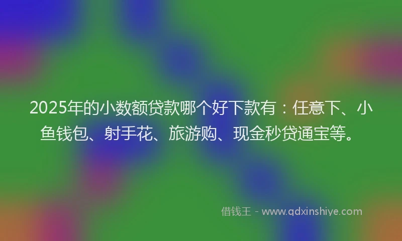 2025年的小数额贷款哪个好下款有：任意下、小鱼钱包、射手花、旅游购、现金秒贷通宝等。