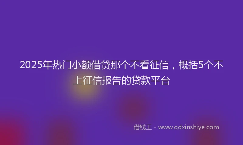 2025年热门小额借贷那个不看征信，概括5个不上征信报告的贷款平台