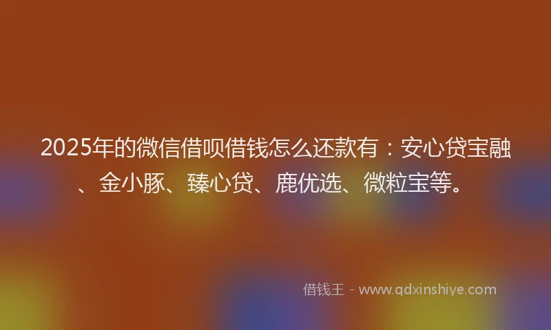 2025年的微信借呗借钱怎么还款有：安心贷宝融、金小豚、臻心贷、鹿优选、微粒宝等。