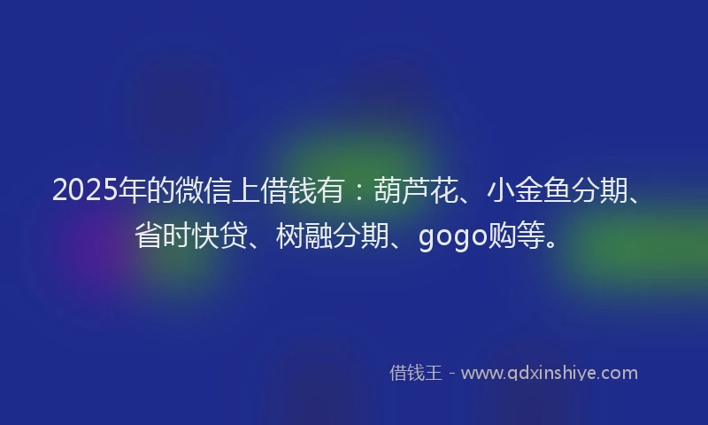 2025年的微信上借钱有：葫芦花、小金鱼分期、省时快贷、树融分期、gogo购等。
