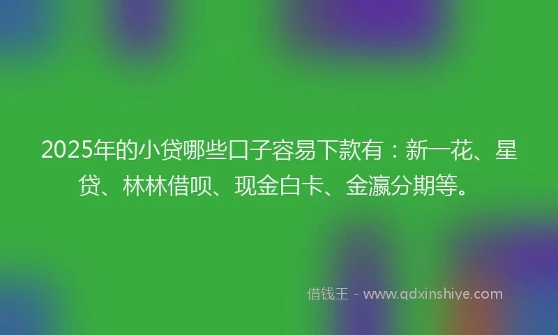 2025年的小贷哪些口子容易下款有：新一花、星贷、林林借呗、现金白卡、金瀛分期等。