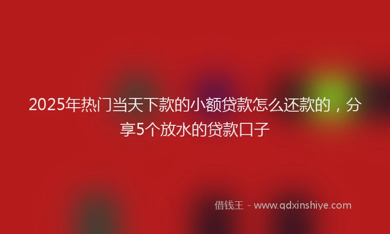 2025年热门当天下款的小额贷款怎么还款的，分享5个放水的贷款口子