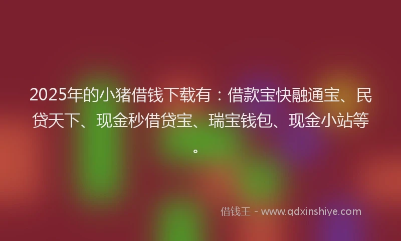 2025年的小猪借钱下载有：借款宝快融通宝、民贷天下、现金秒借贷宝、瑞宝钱包、现金小站等。