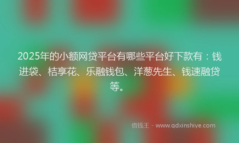 2025年的小额网贷平台有哪些平台好下款有：钱进袋、桔享花、乐融钱包、洋葱先生、钱速融贷等。