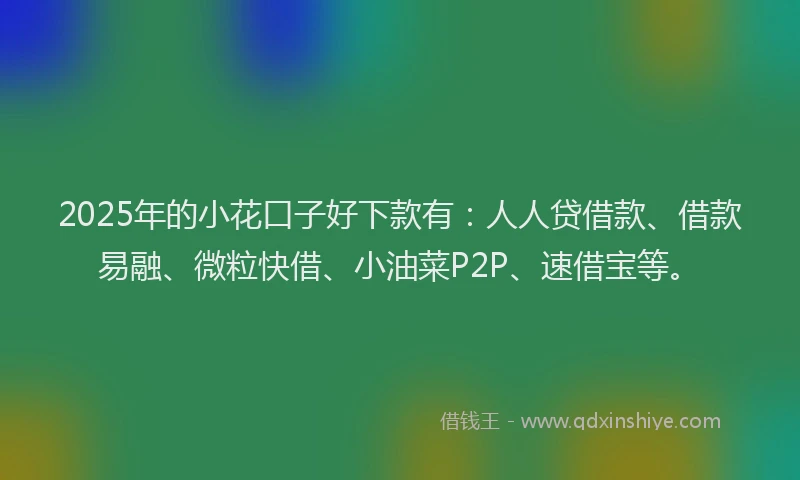 2025年的小花口子好下款有：人人贷借款、借款易融、微粒快借、小油菜P2P、速借宝等。