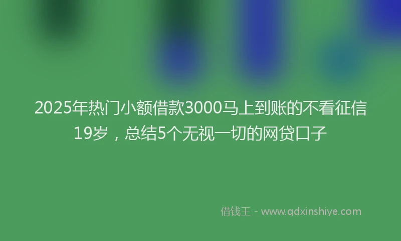 2025年热门小额借款3000马上到账的不看征信19岁，总结5个无视一切的网贷口子