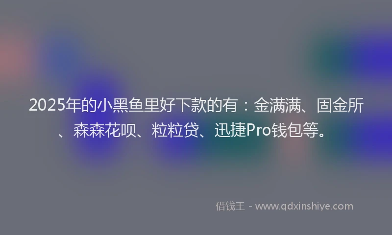 2025年的小黑鱼里好下款的有：金满满、固金所、森森花呗、粒粒贷、迅捷Pro钱包等。