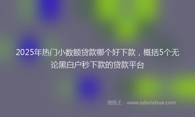 2025年热门小数额贷款哪个好下款，概括5个无论黑白户秒下款的贷款平台