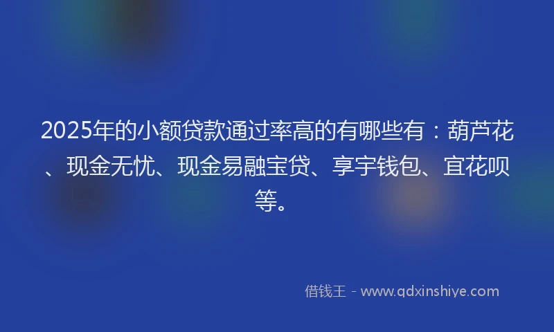 2025年的小额贷款通过率高的有哪些有：葫芦花、现金无忧、现金易融宝贷、享宇钱包、宜花呗等。