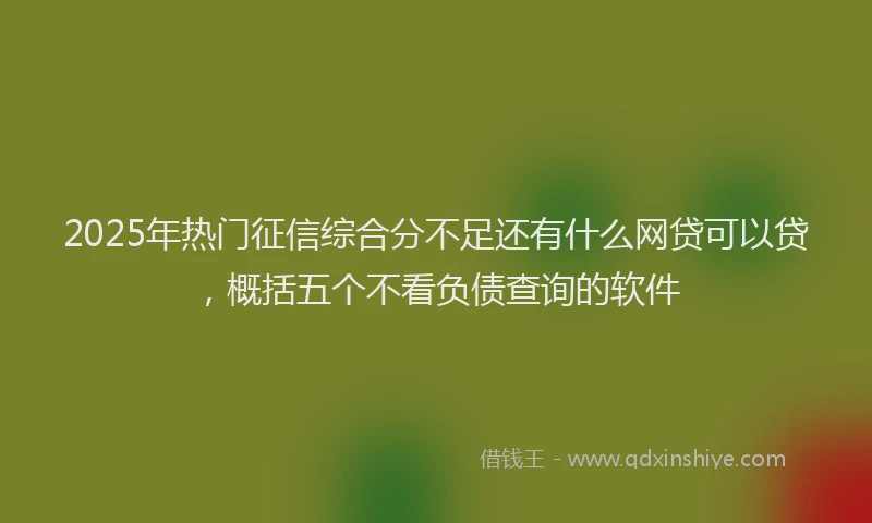 2025年热门征信综合分不足还有什么网贷可以贷，概括五个不看负债查询的软件