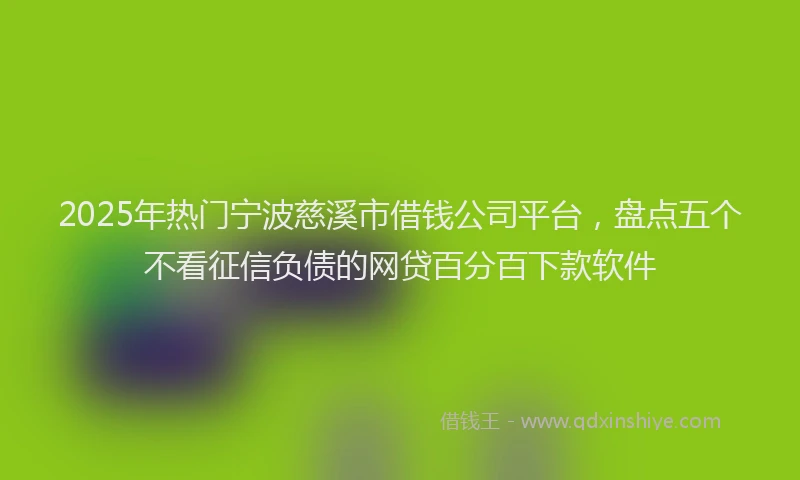 2025年热门宁波慈溪市借钱公司平台，盘点五个不看征信负债的网贷百分百下款软件