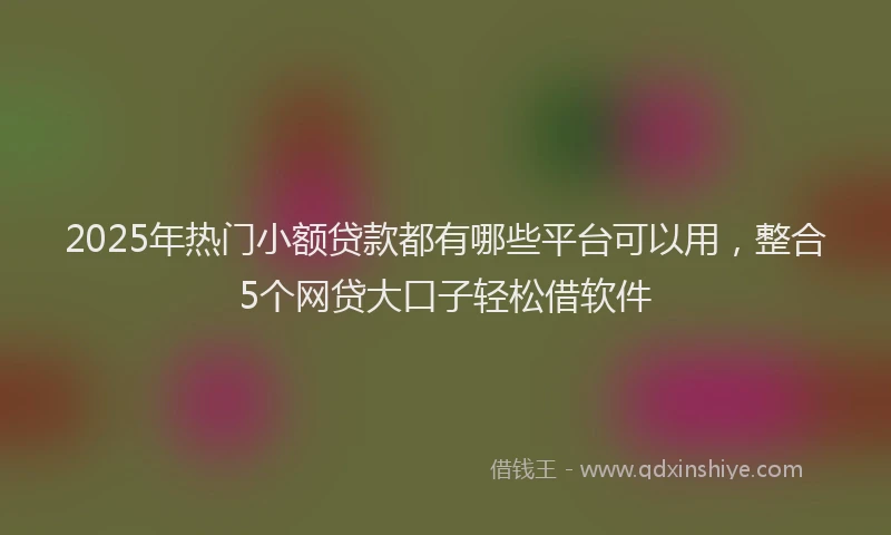 2025年热门小额贷款都有哪些平台可以用，整合5个网贷大口子轻松借软件
