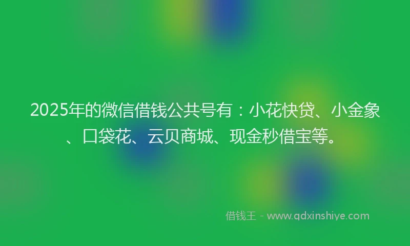 2025年的微信借钱公共号有：小花快贷、小金象、口袋花、云贝商城、现金秒借宝等。