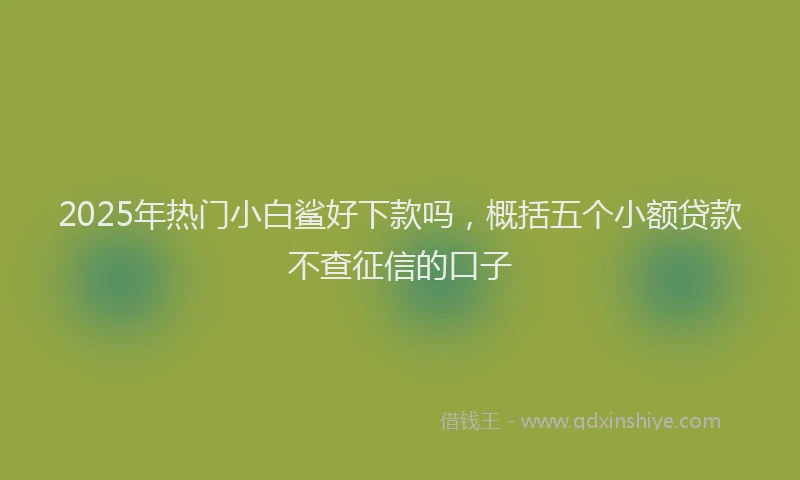 2025年热门小白鲨好下款吗，概括五个小额贷款不查征信的口子