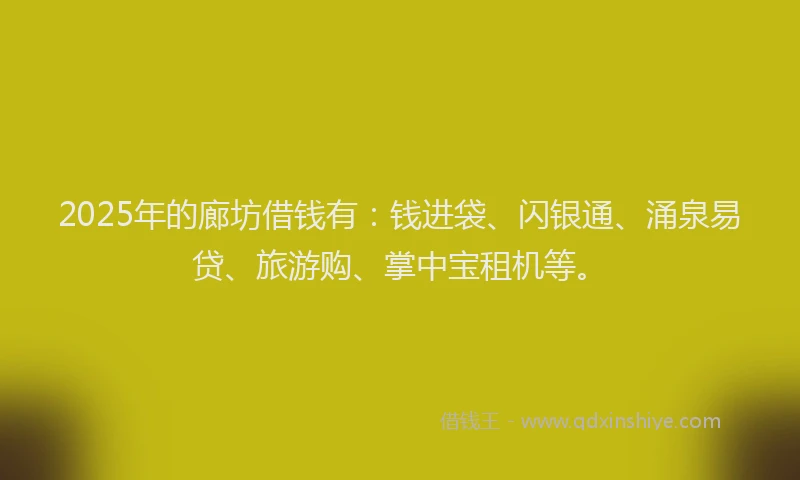 2025年的廊坊借钱有:钱进袋、闪银通、涌泉易贷、旅游购、掌中宝租机等。