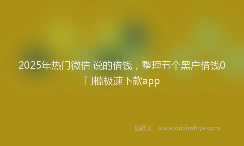 2025年热门微信 说的借钱，整理五个黑户借钱0门槛极速下款app
