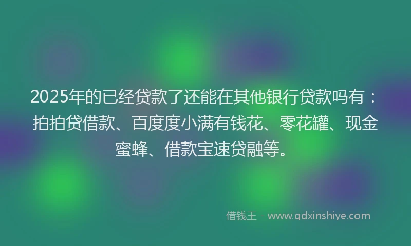 2025年的已经贷款了还能在其他银行贷款吗有：拍拍贷借款、百度度小满有钱花、零花罐、现金蜜蜂、借款宝速贷融等。