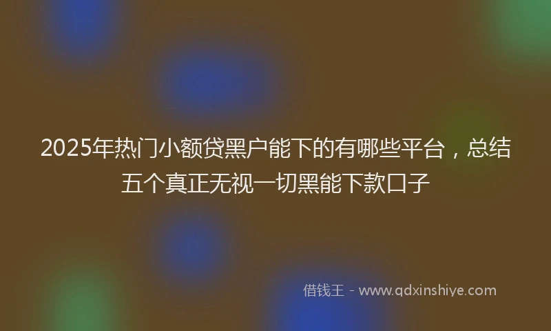 2025年热门小额贷黑户能下的有哪些平台，总结五个真正无视一切黑能下款口子