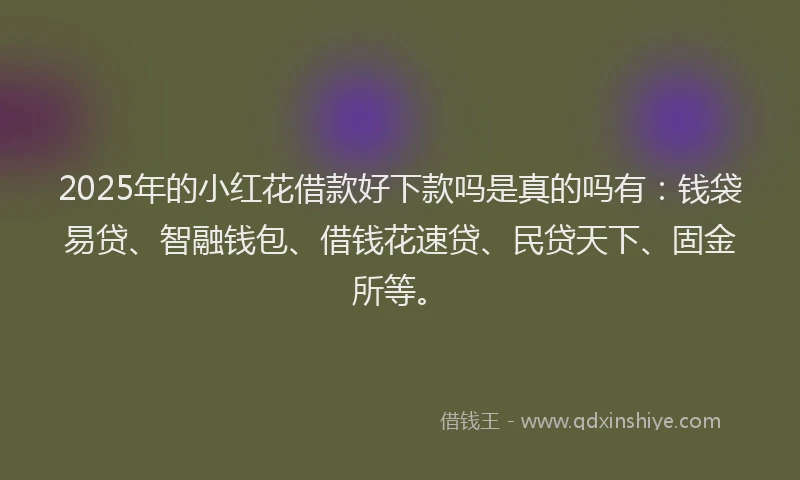 2025年的小红花借款好下款吗是真的吗有：钱袋易贷、智融钱包、借钱花速贷、民贷天下、固金所等。