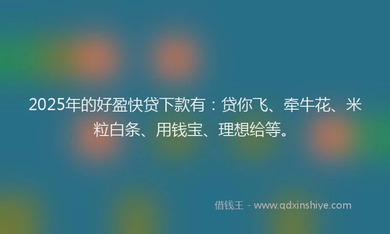 2025年的好盈快贷下款有：贷你飞、牵牛花、米粒白条、用钱宝、理想给等。