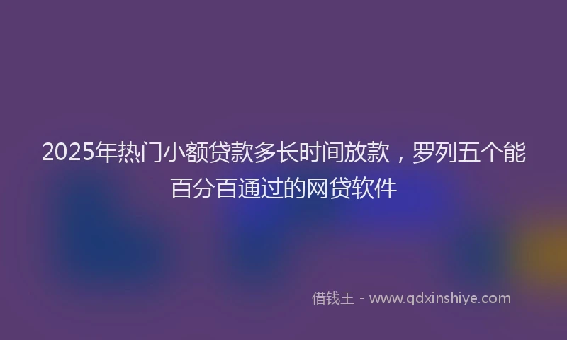 2025年热门小额贷款多长时间放款，罗列五个能百分百通过的网贷软件